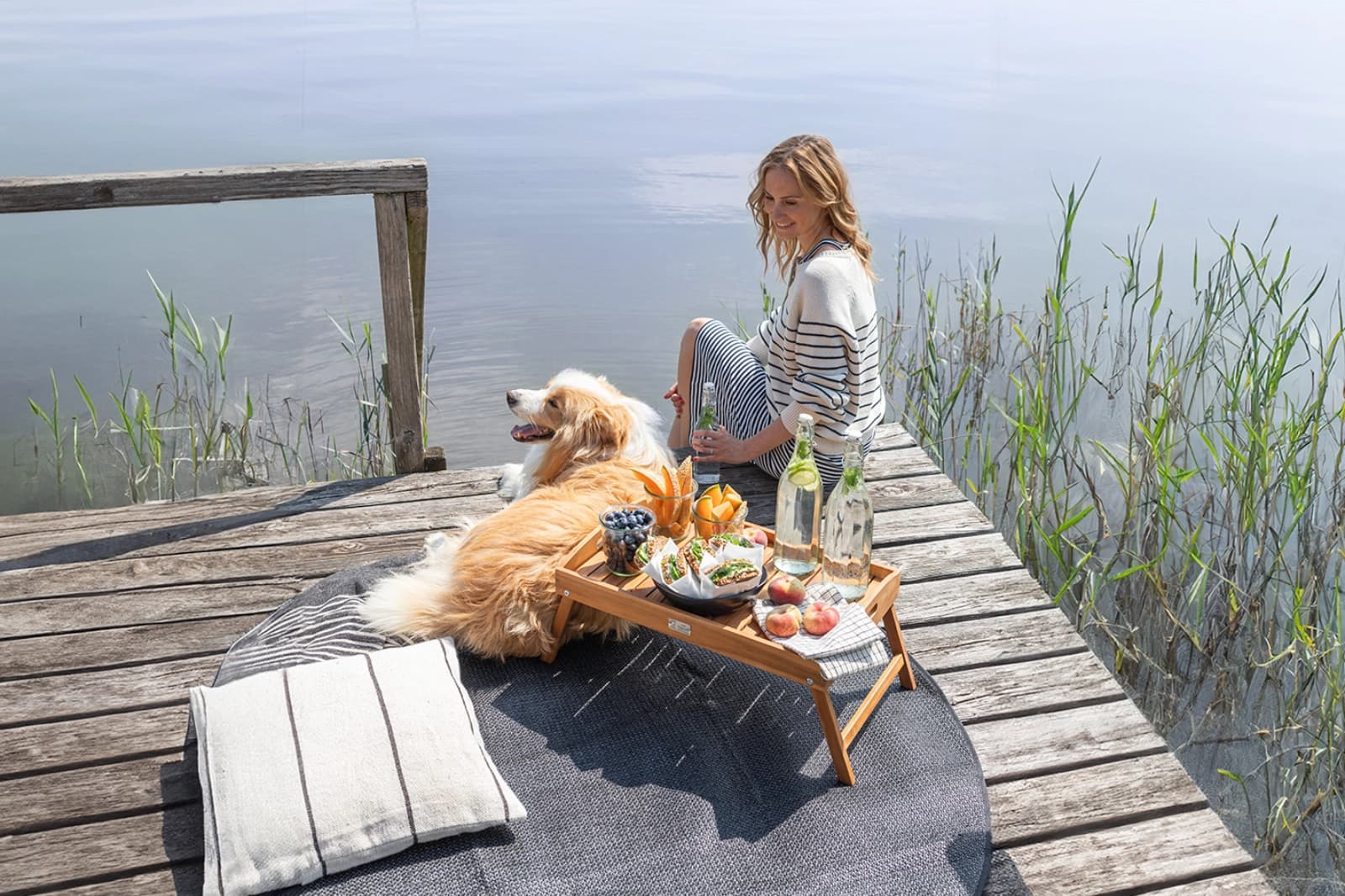 Verreisen mit Hund