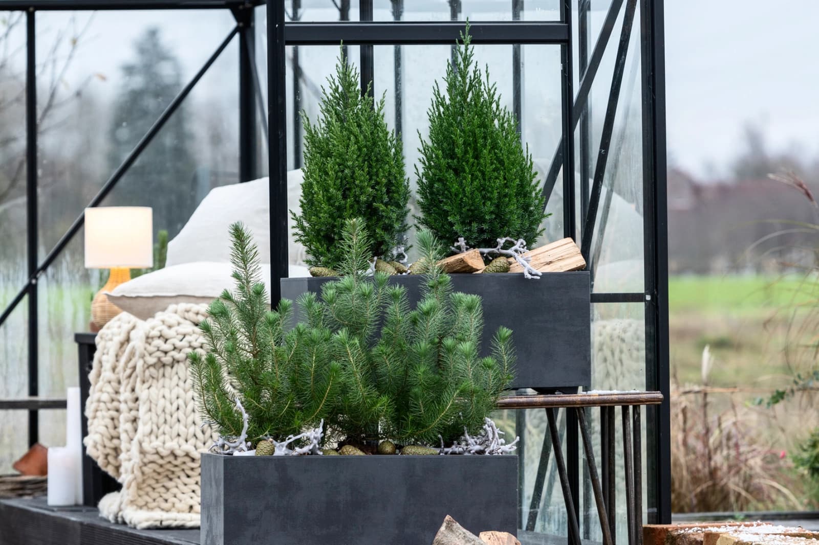 Gartenarbeiten im Januar