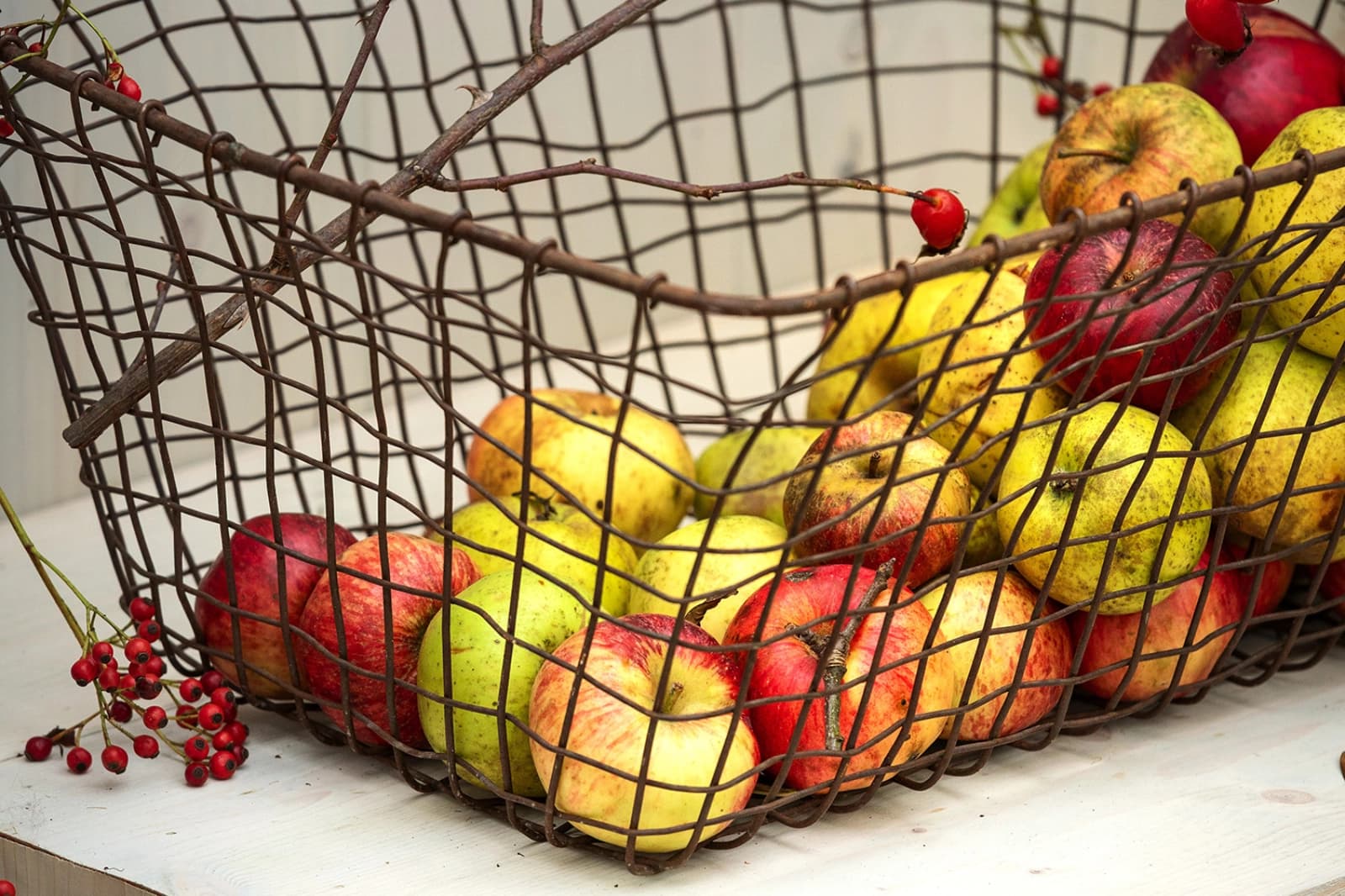 Obstlager kontrollieren