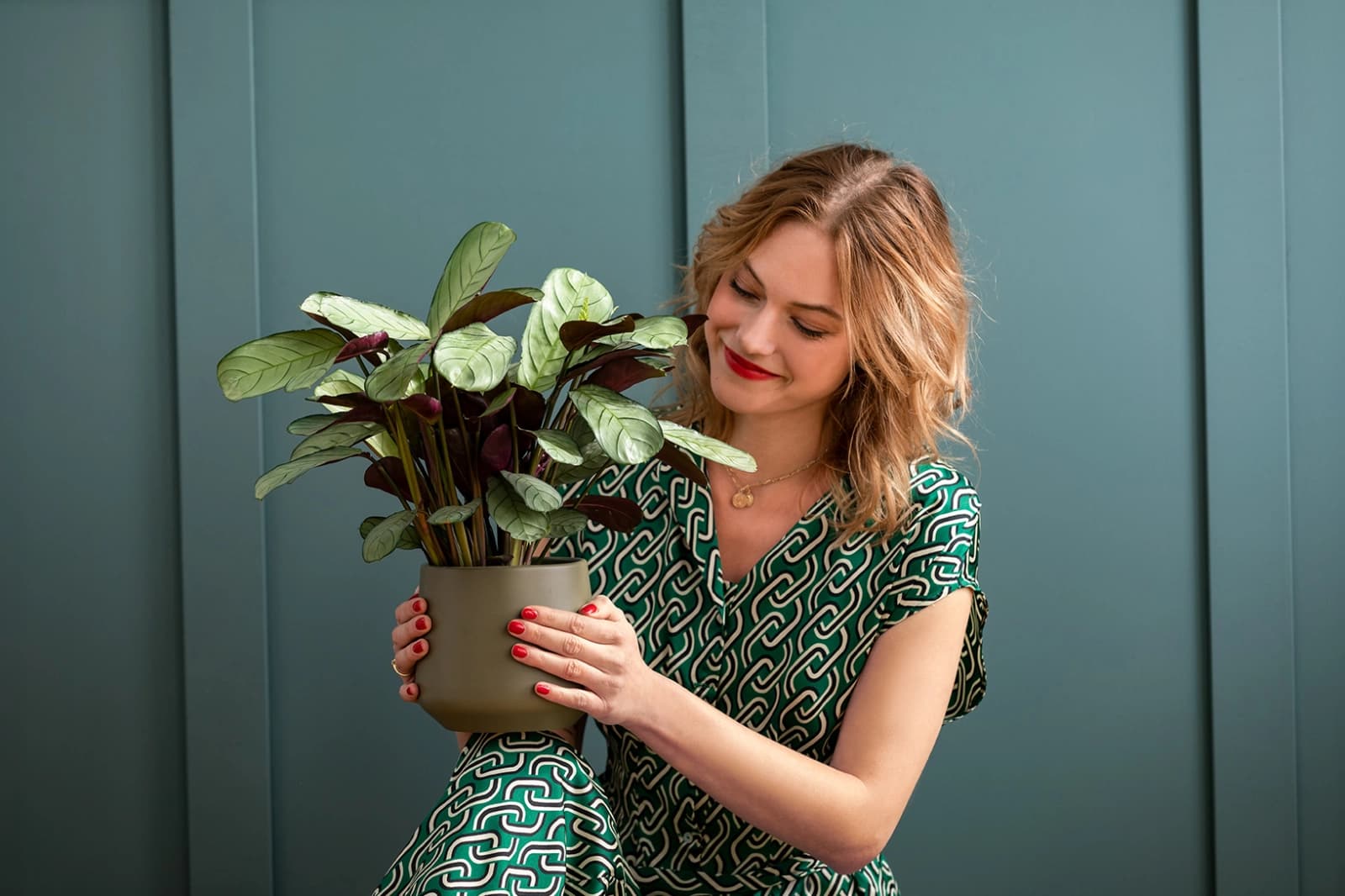 2. Calathea
