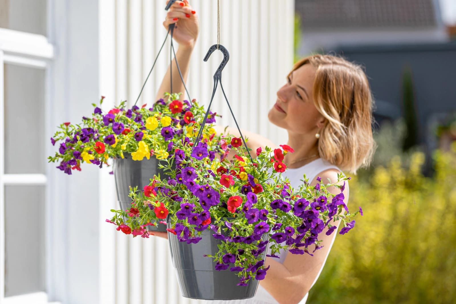 Pflanzen für den Südbalkon