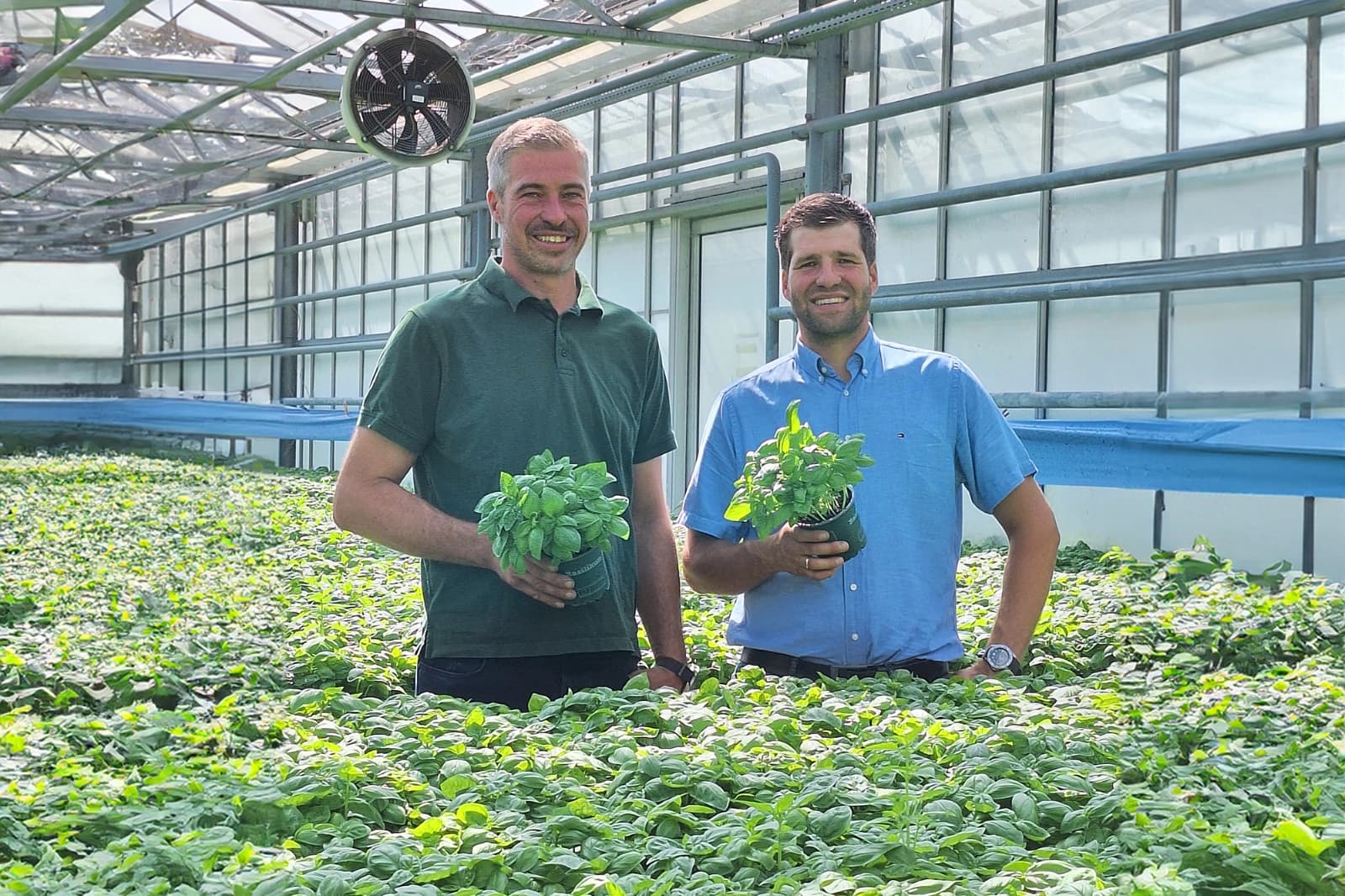 Gartenbau Pelzl GBR