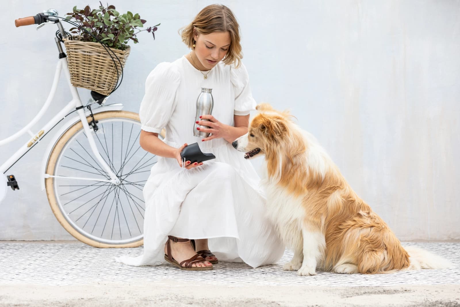 Ein Hund zieht ein