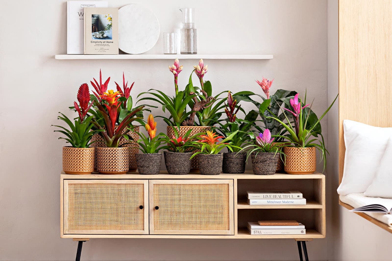 5. Bromelien