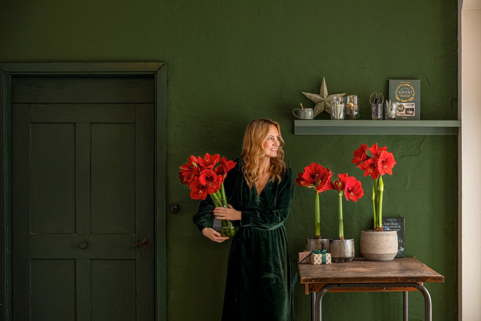 Amaryllis
