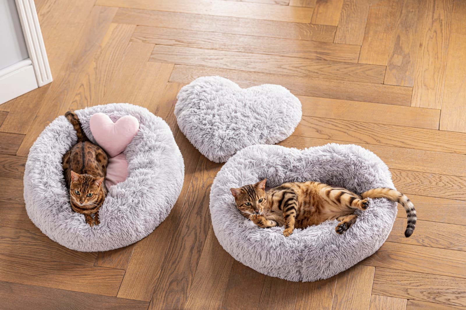 Kuschelplätze