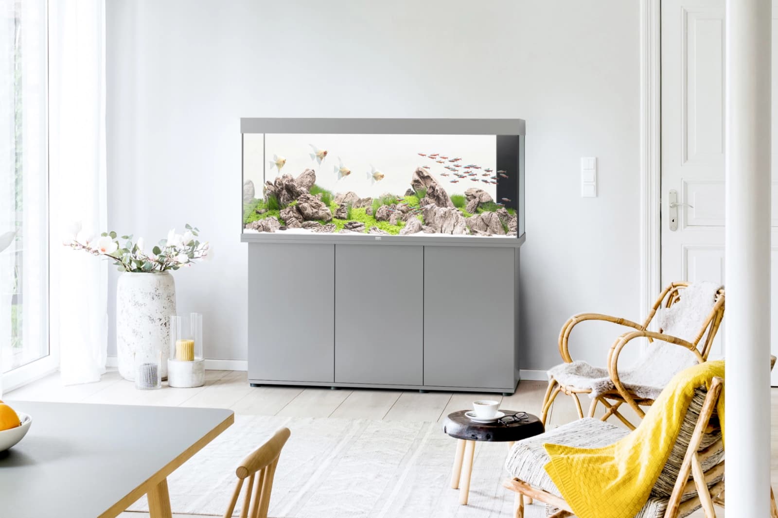 Aquarienvielfalt für Einsteiger & Profis
