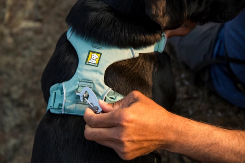 Outdoor-Hundezubehör