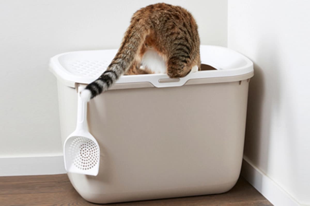 Pflege & Hygiene