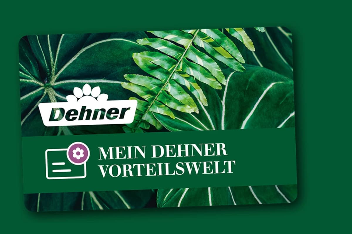 Hier wird Treue belohnt!