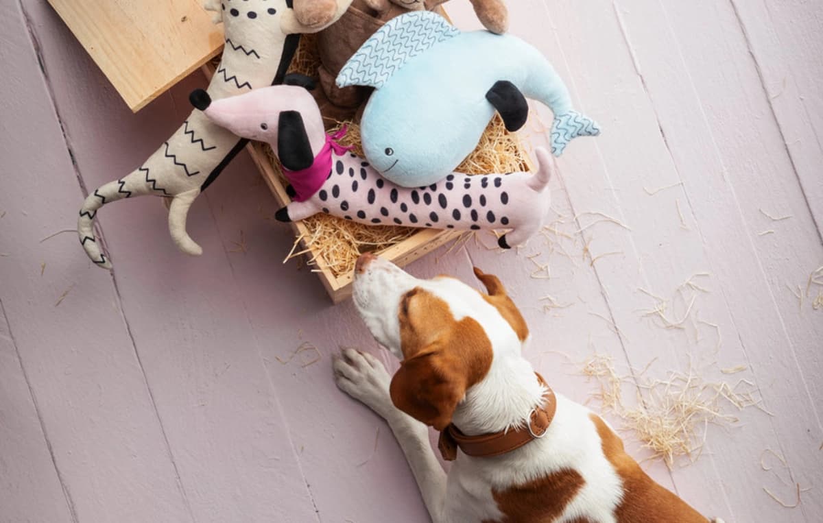 Hundespielzeug