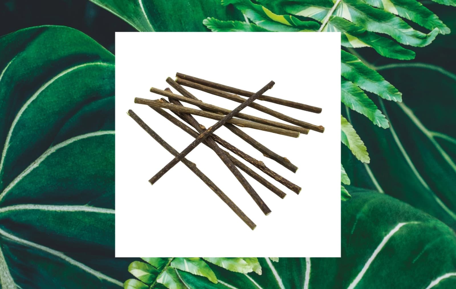 Geschenk 1: Dehner Lieblinge Matatabi-Sticks (10 Stück)