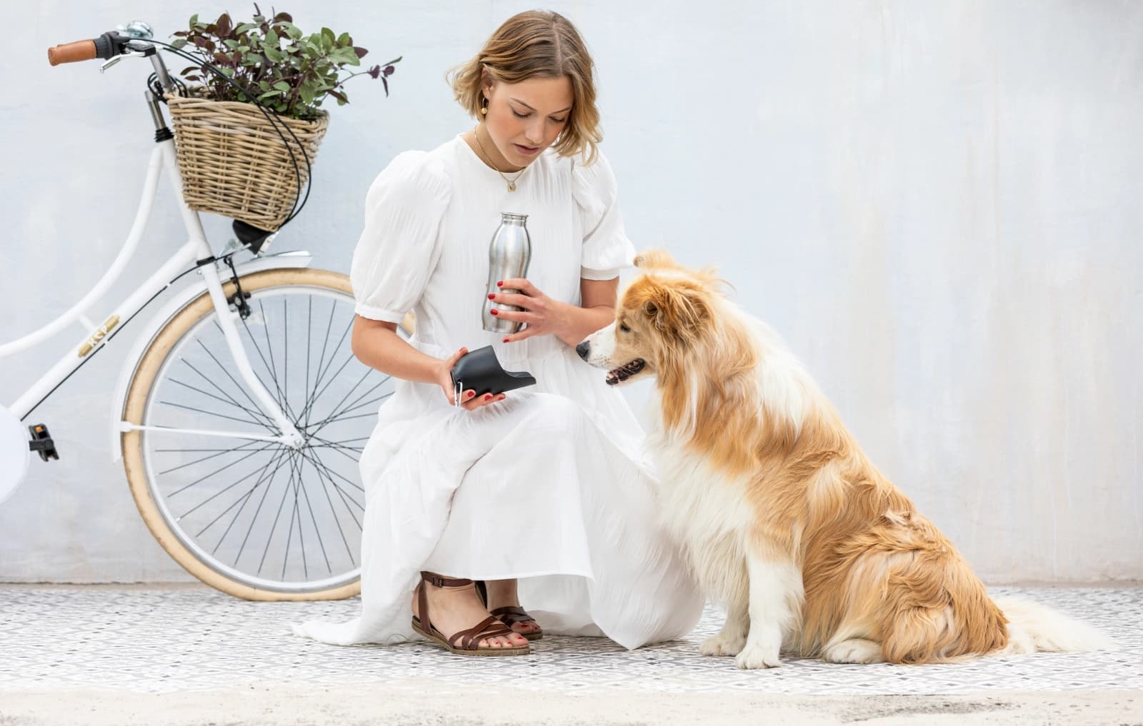 Ein Hund zieht ein