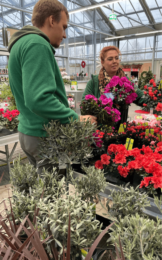 Einarbeitung im Bereich Blumen & Pflanzen bei Dehner